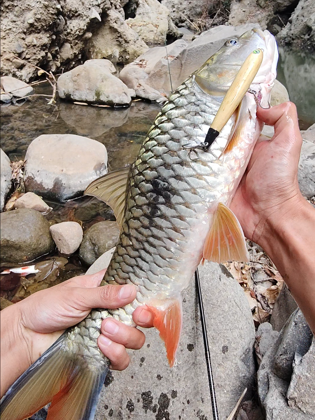@gustavxfishing