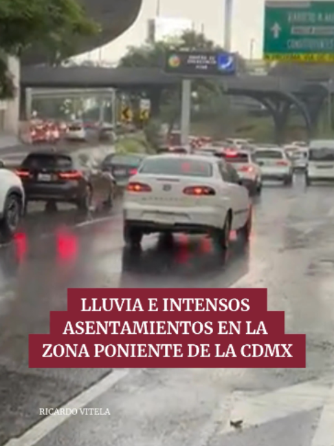 @Periódico Excélsior