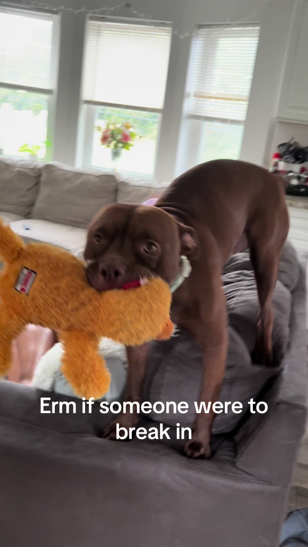 @cailyn
