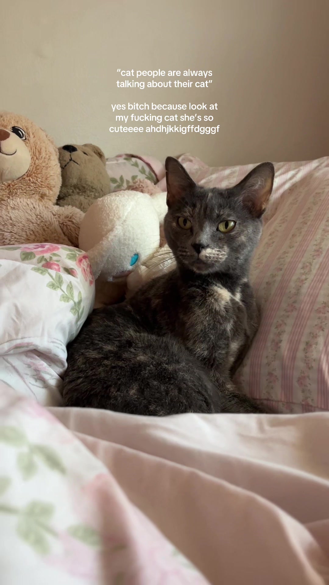 @⋆୨୧˚renny baby⋆୨୧˚