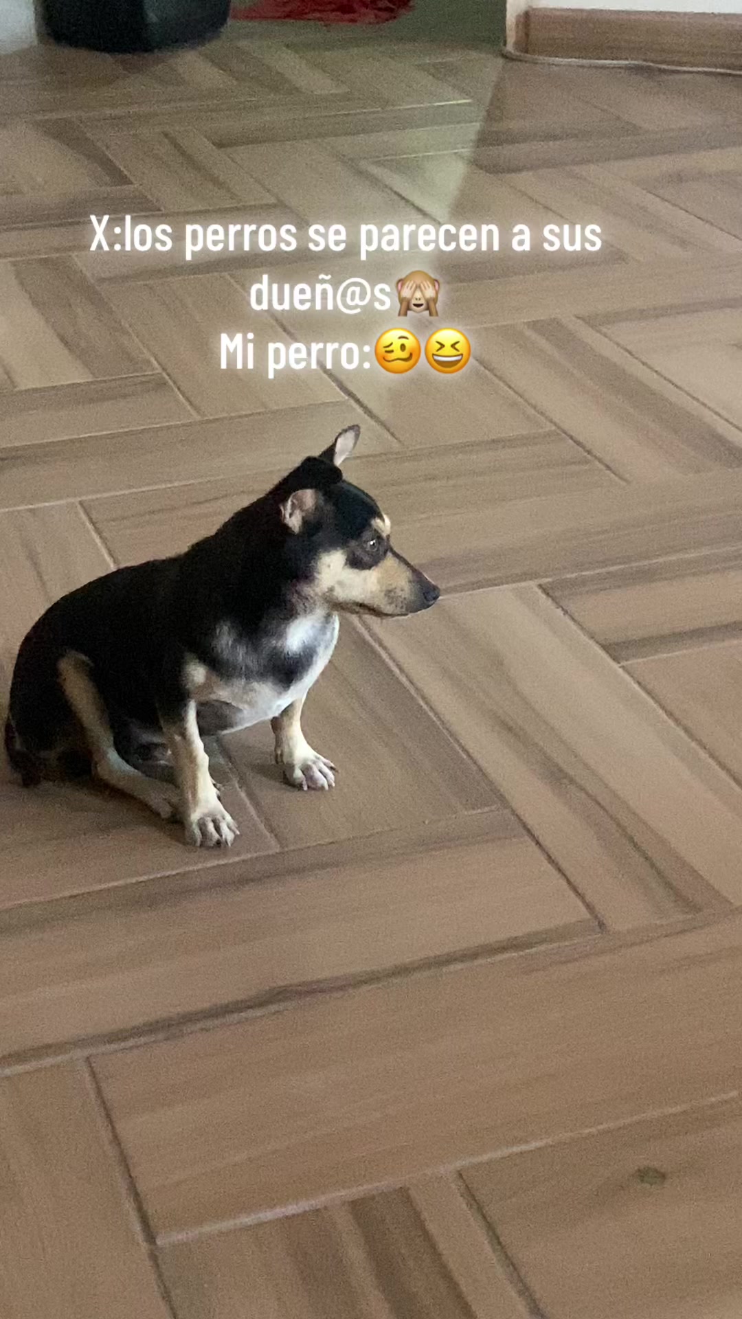 @luceroencinas6