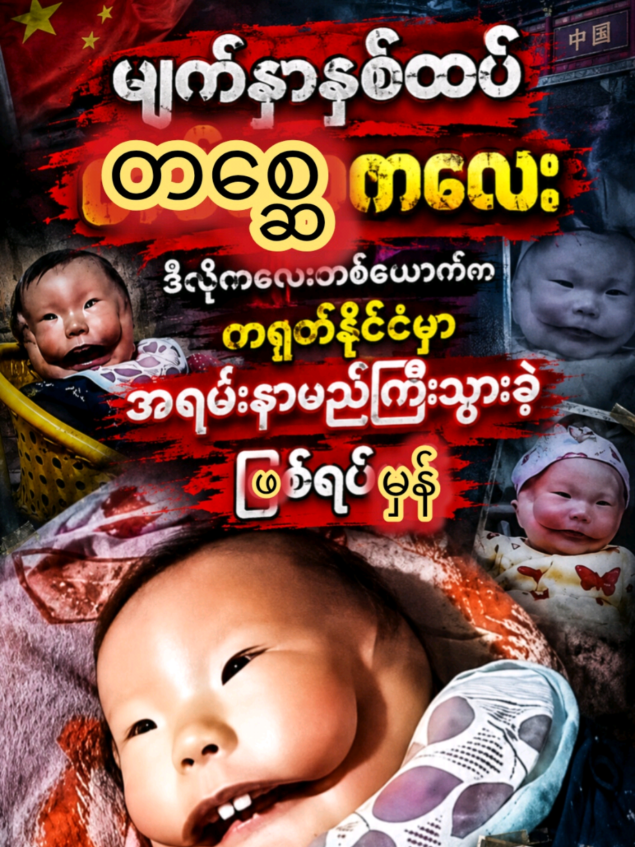 @Sut Sharing - Official