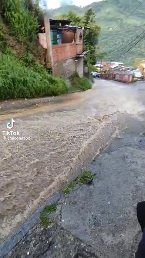 @zabala