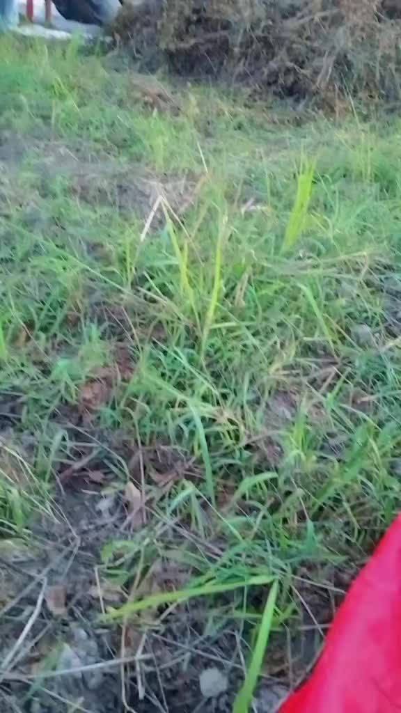 @mdsojebislamraiha0