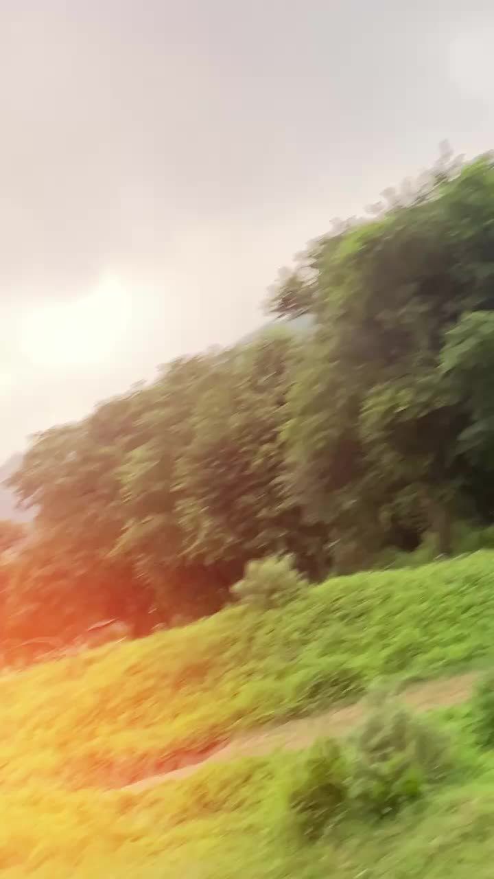 @Moeen Abbasi