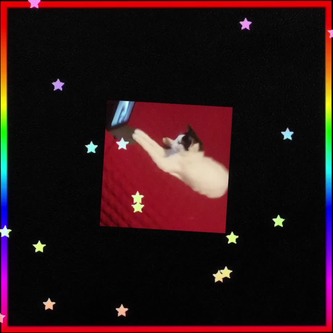 @LATCHME HARNARINE 💖💝🕉
