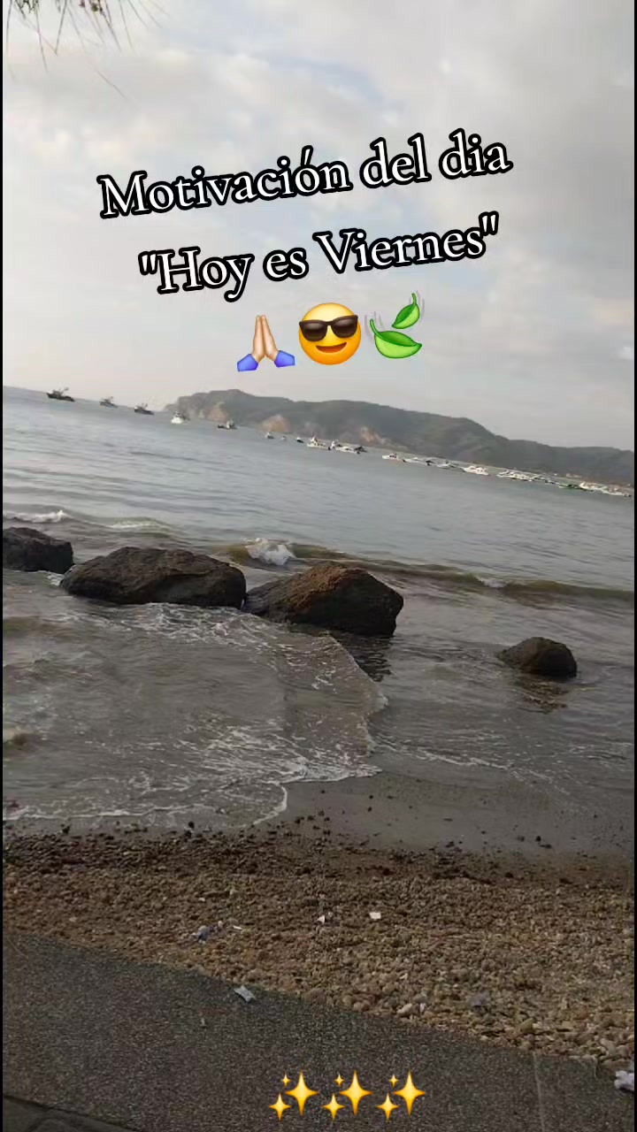 @🦋 Violeta Arteaga 🧚&zwj;♀️