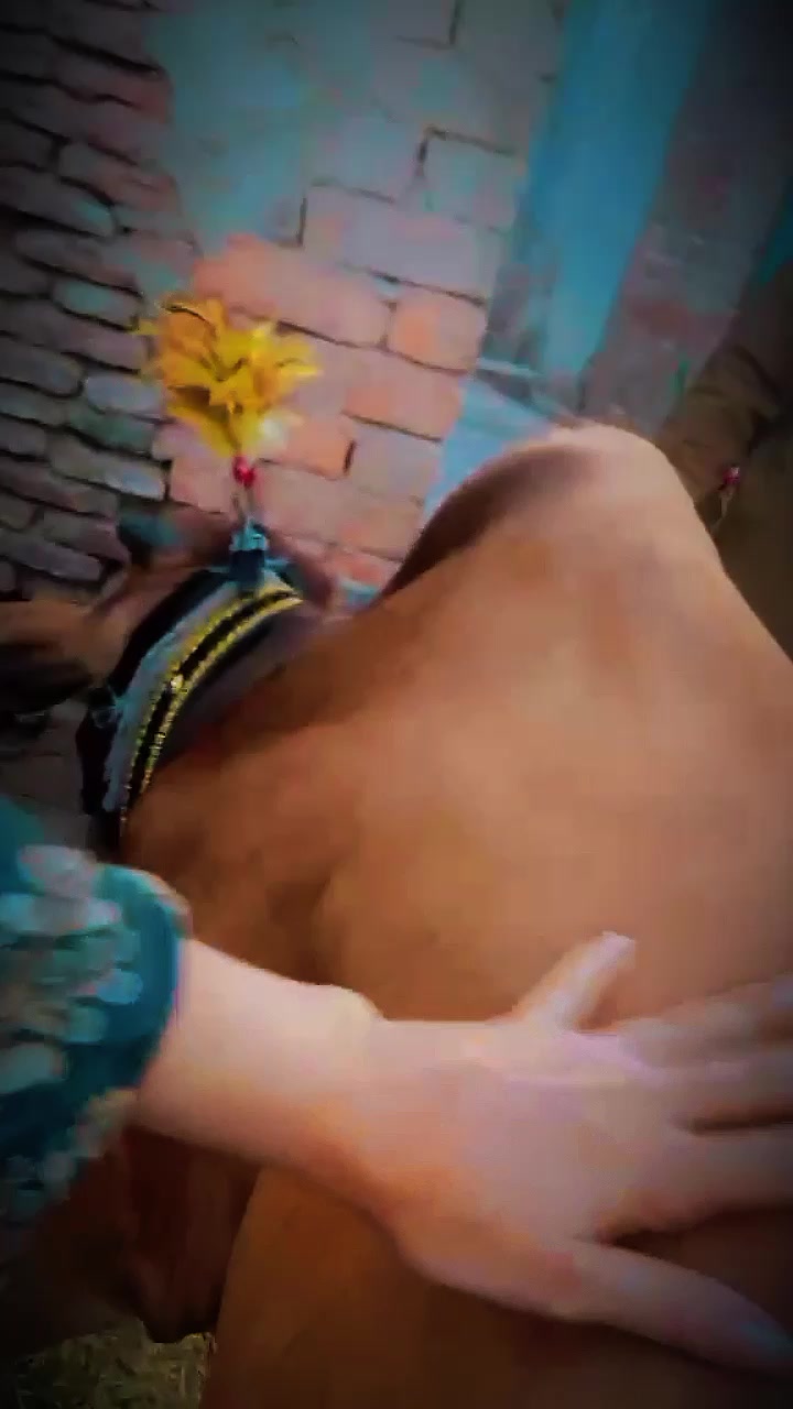 @sanaya rajpoot