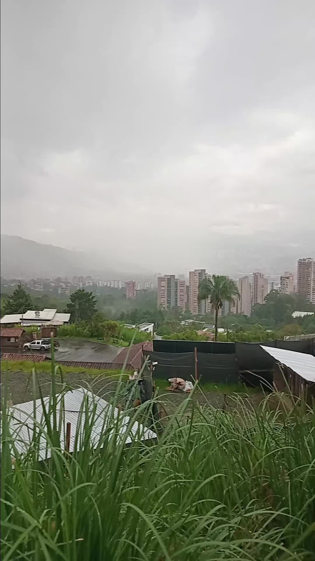 @LEO727