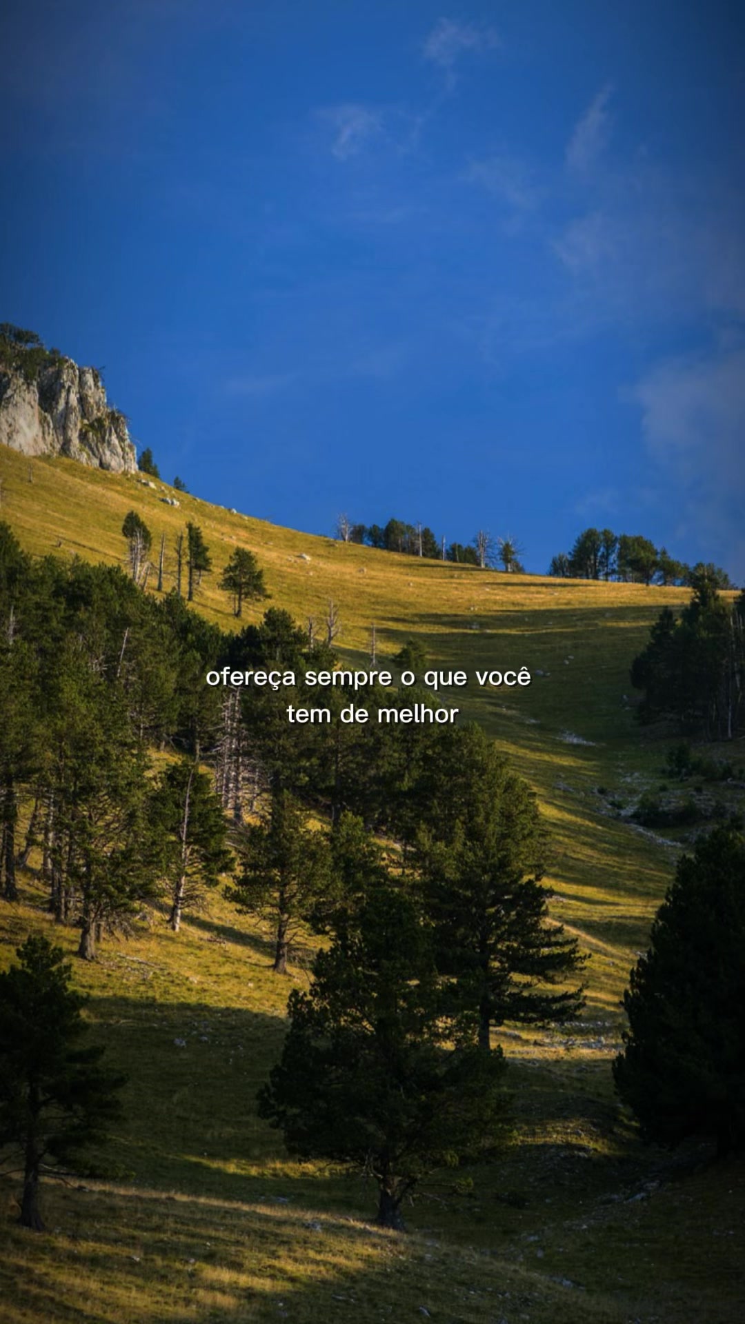 @sendo_a_felicidade