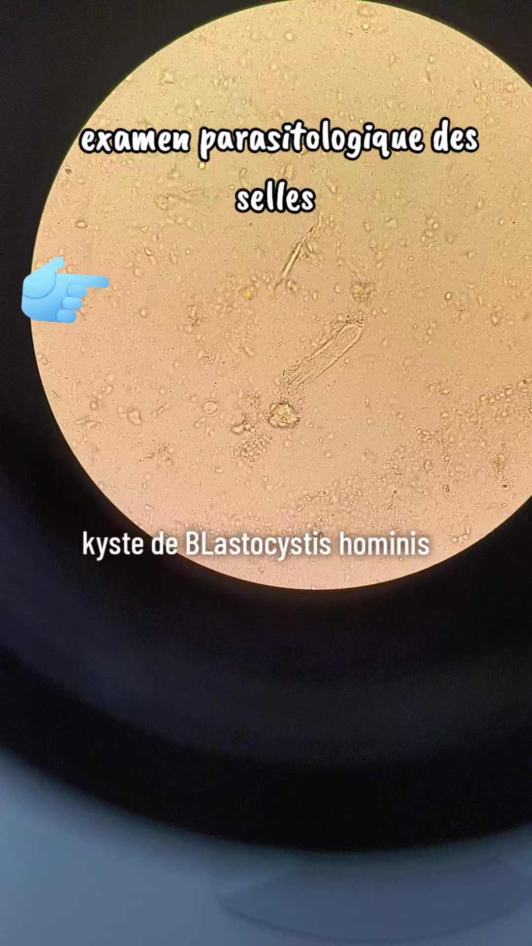 @Houda Micro 🔬
