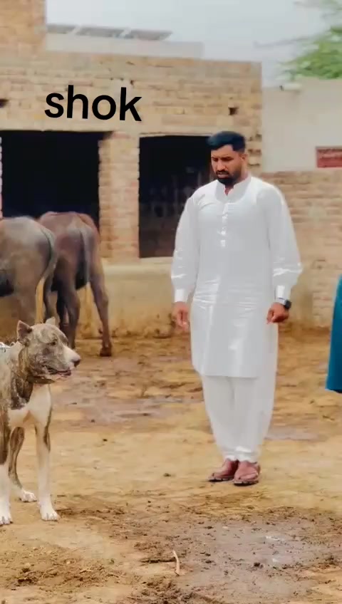 @Ali Abdullah