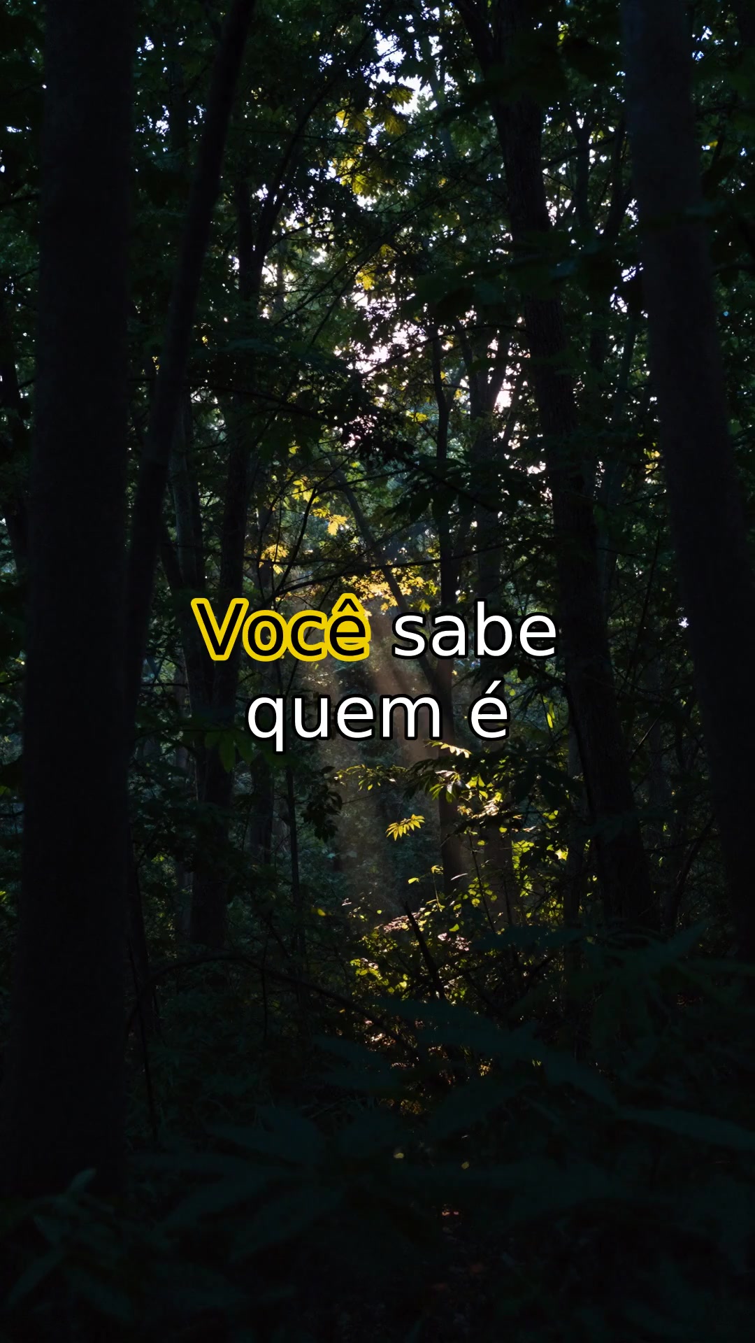 @Hist&oacute;rias Macabras