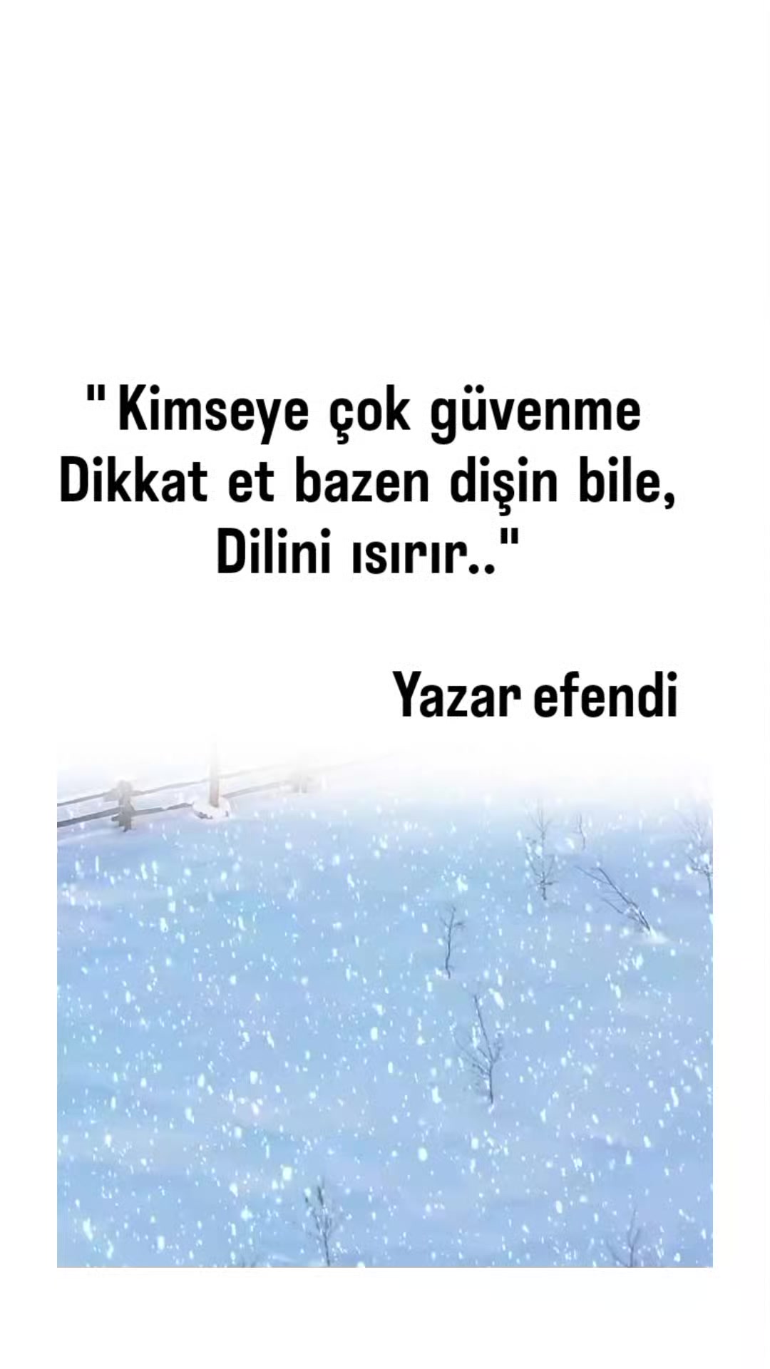 @YAZAR EFENDİ 📚📚