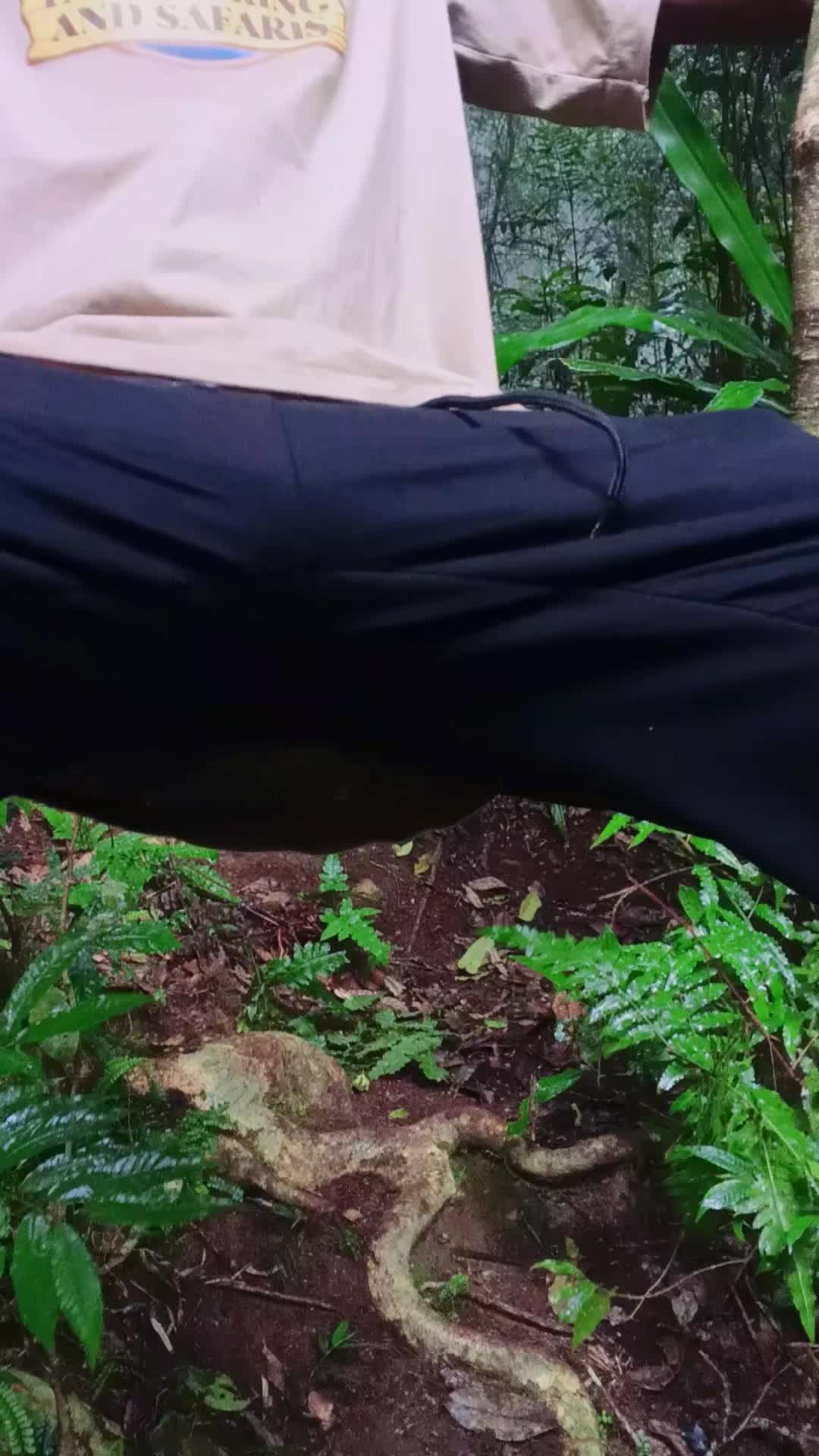 @Taita Hiking And Safari's