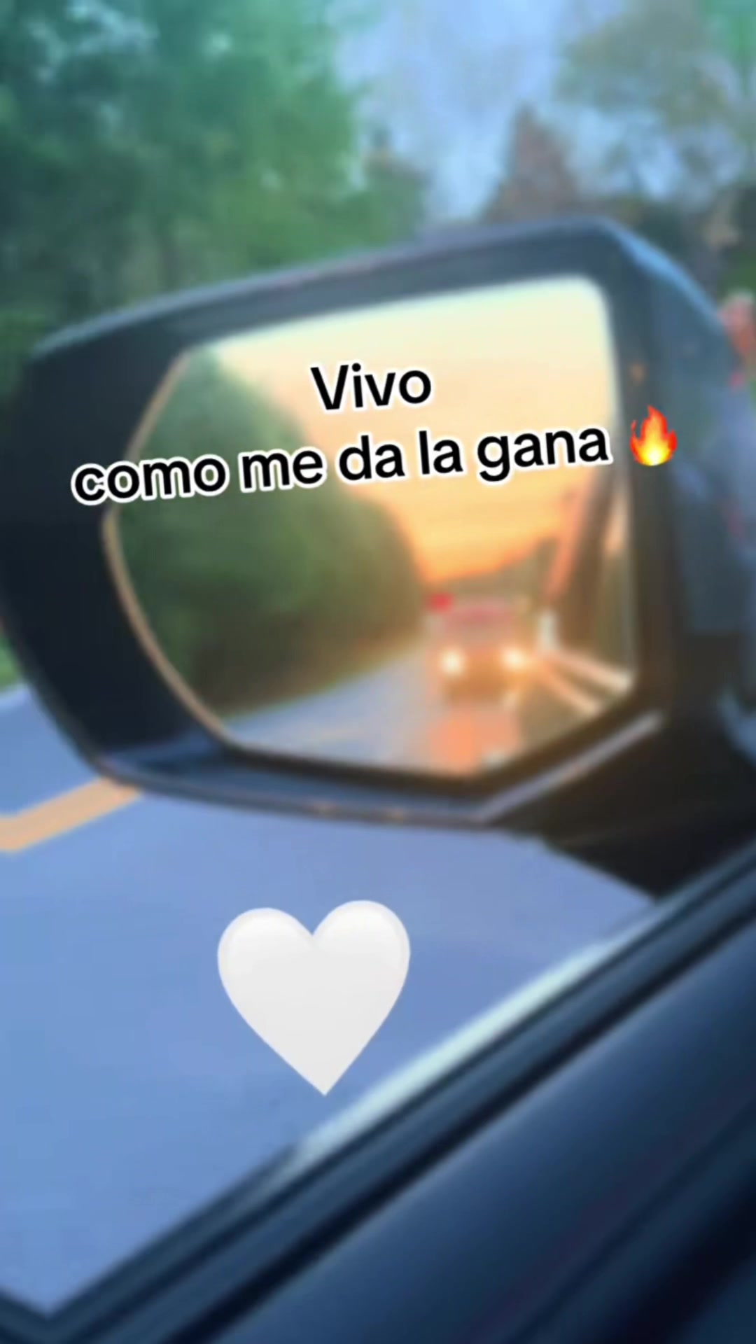 @Sophia.soufi