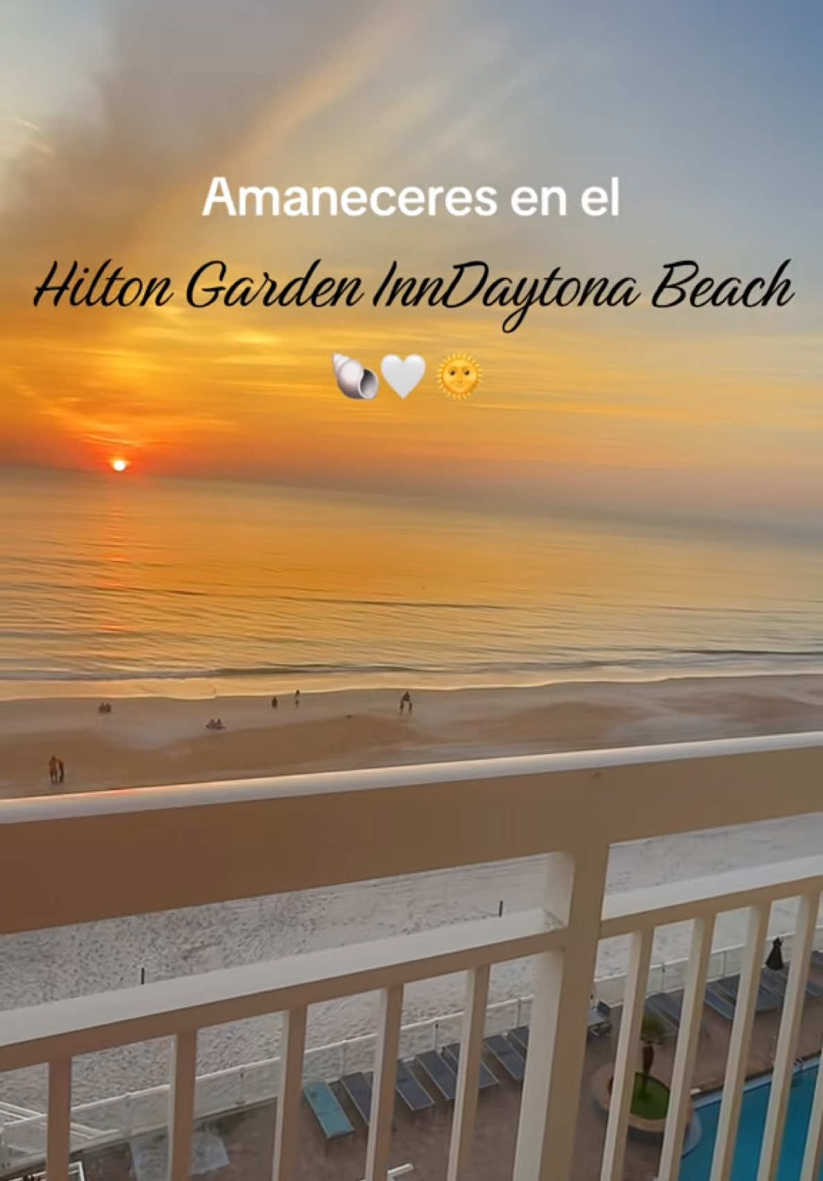 @Sheyla Vernice 🌺🌴🐠🐚