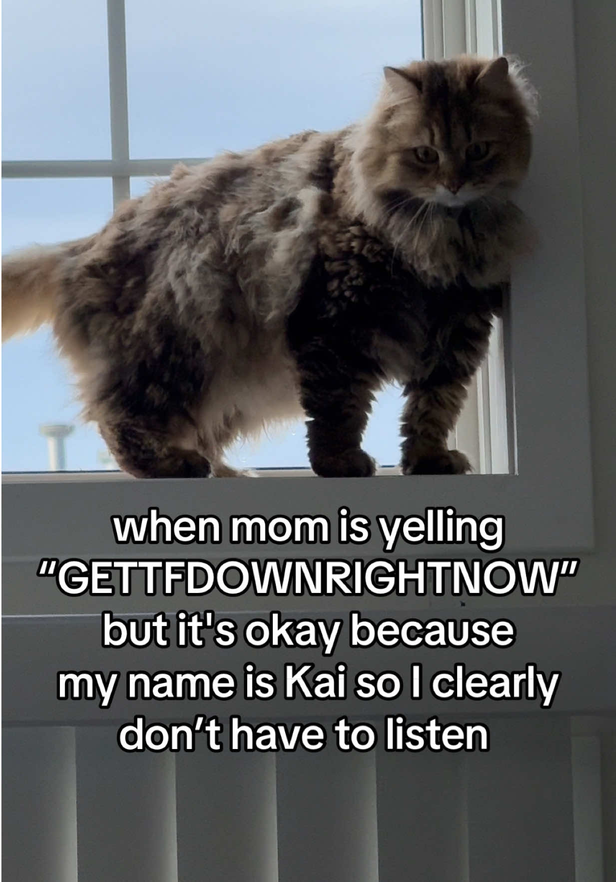 @kaisiberian