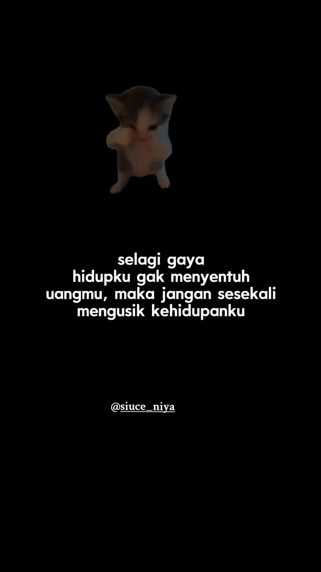 @siuce_niya