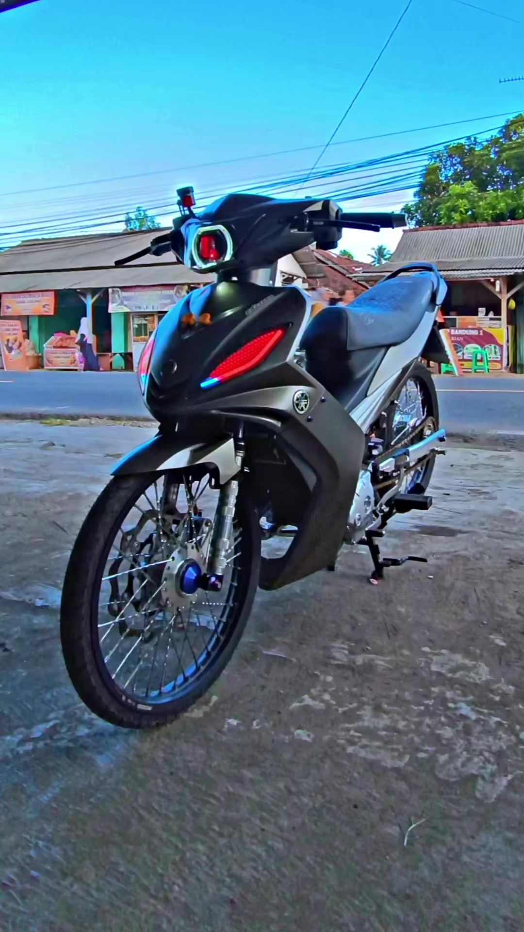 @wildia colection