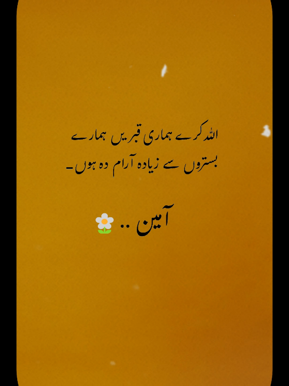 @Ehl-e-Ehsaas