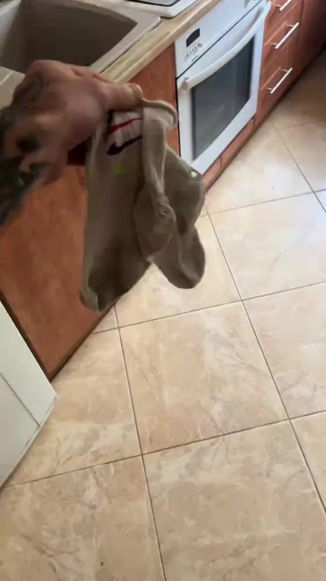 @Майвей