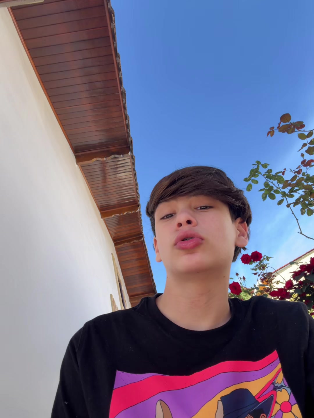 @Alvess