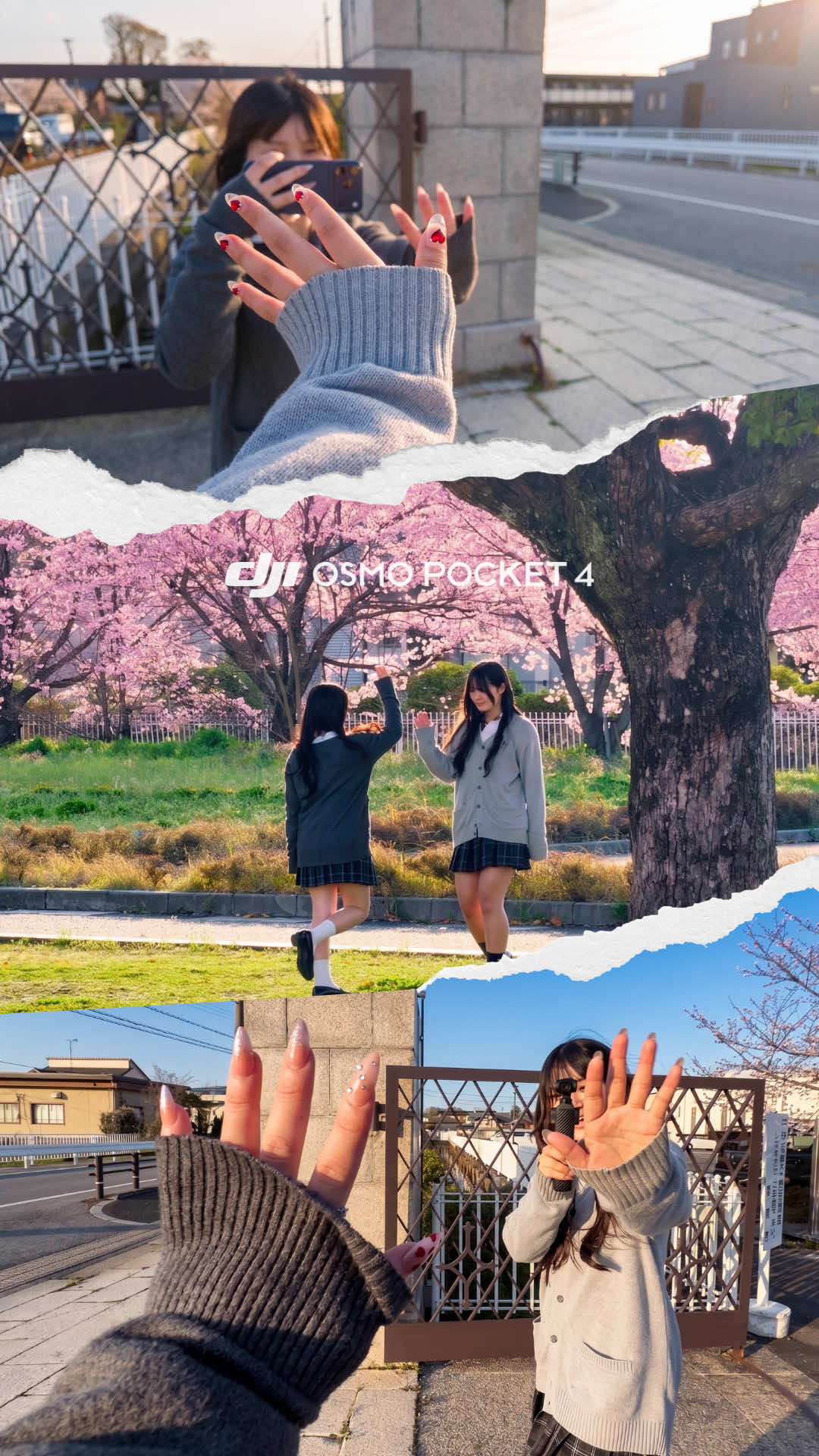 @シライフウタ