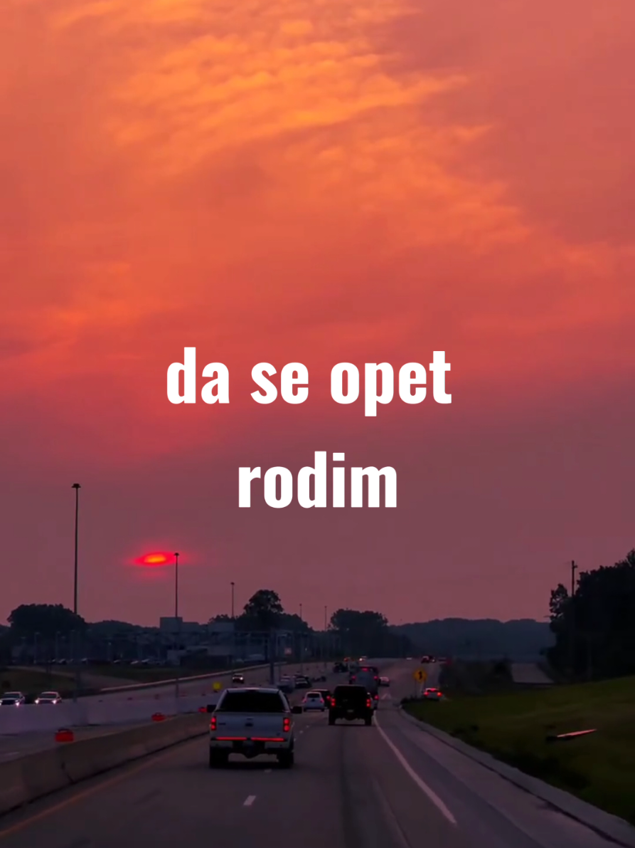 @OnlyVibez