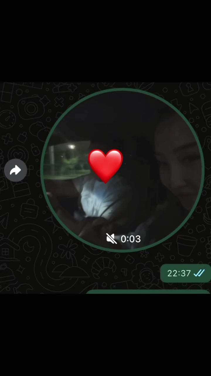 @alikon🫧