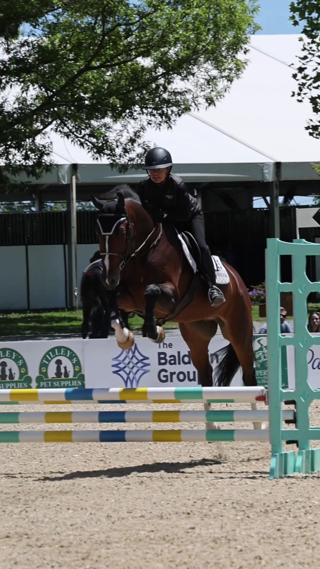 @ckponies