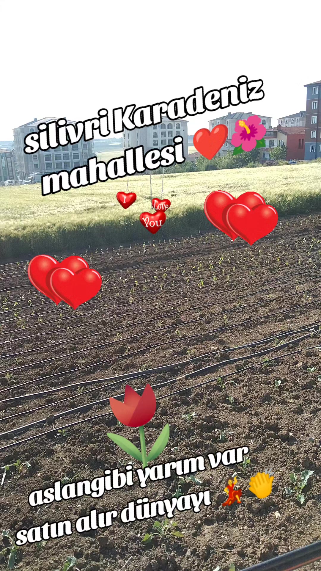 @her yüzüne gülene dost sanma