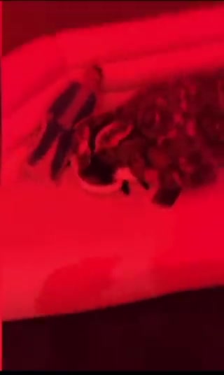 @00flaws