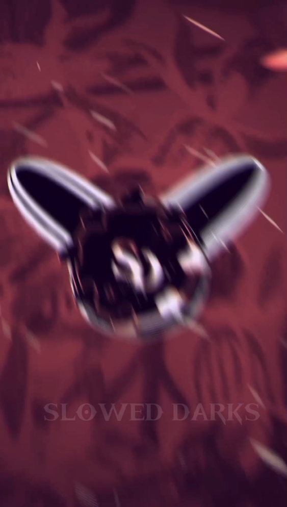 @DJ SLOWED DARKS