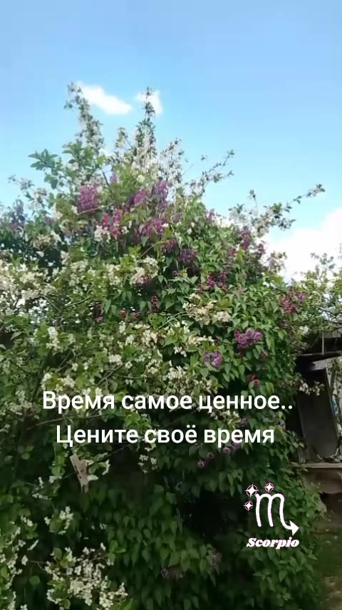 @Anush