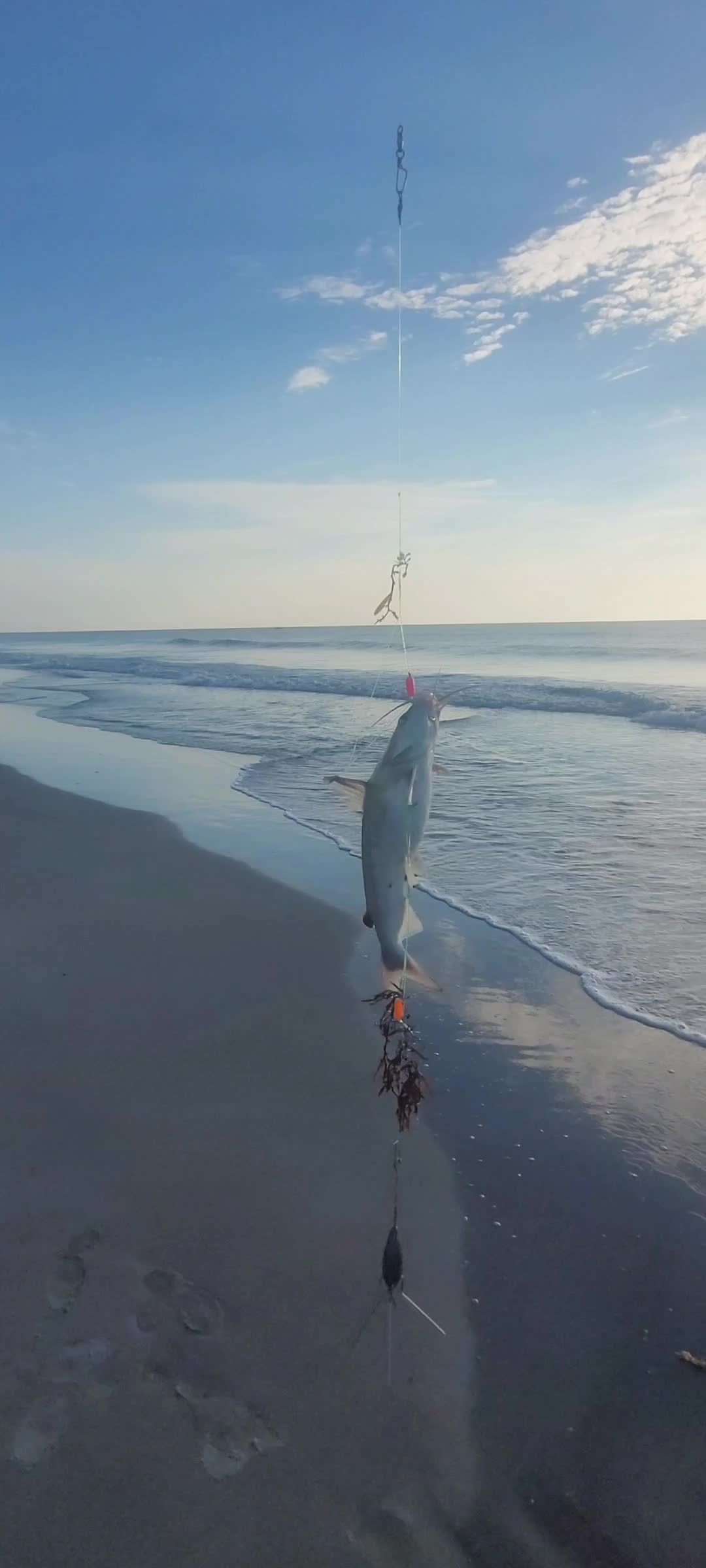@Ghost of Space Coast Fishing