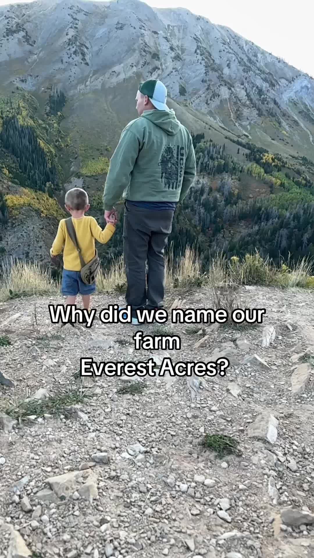 @Terra | Everest Acres