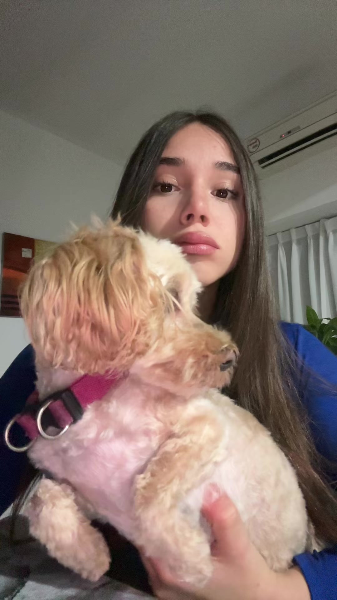 @biancu_cesario_