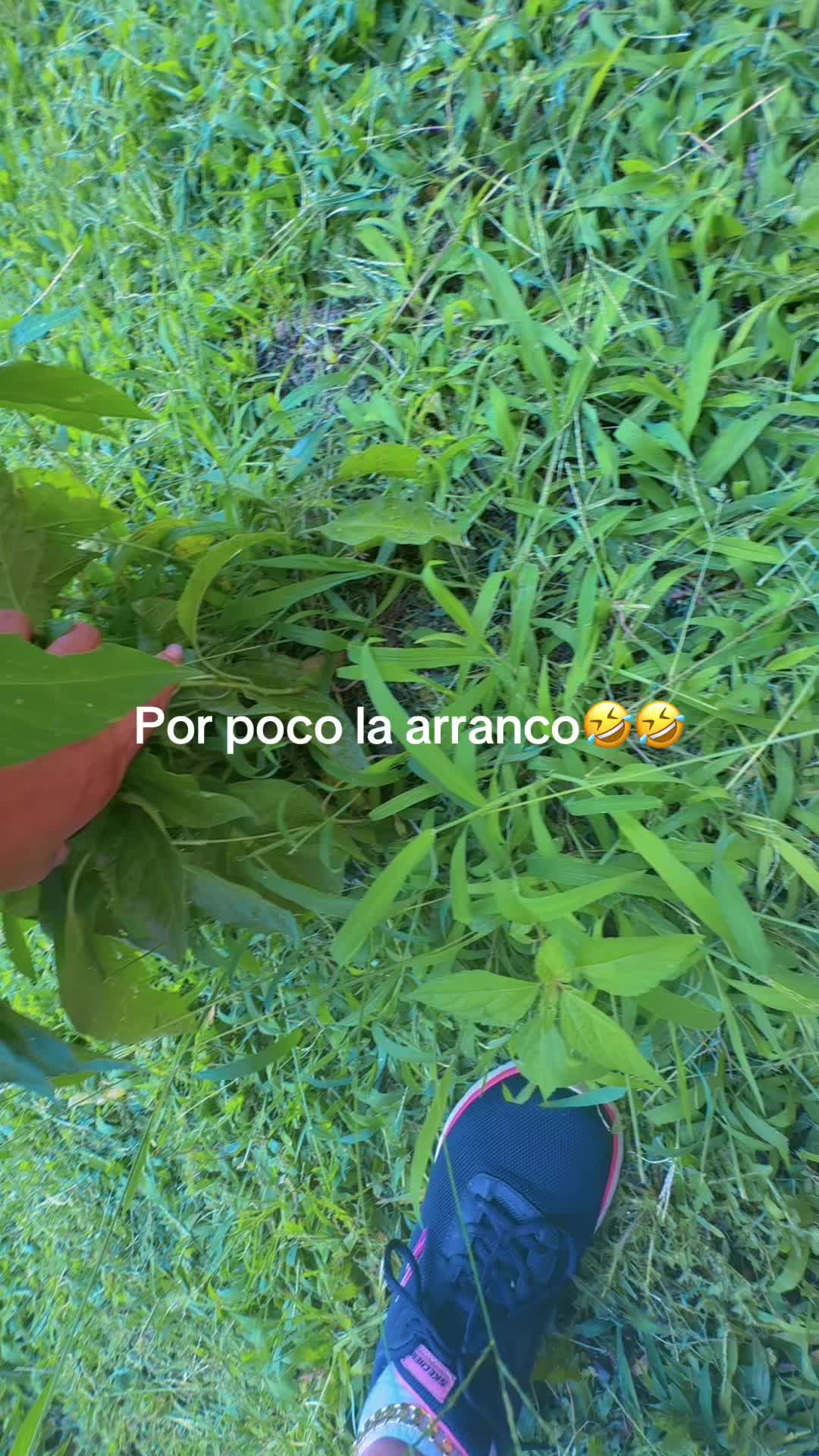 @Leonora deleon