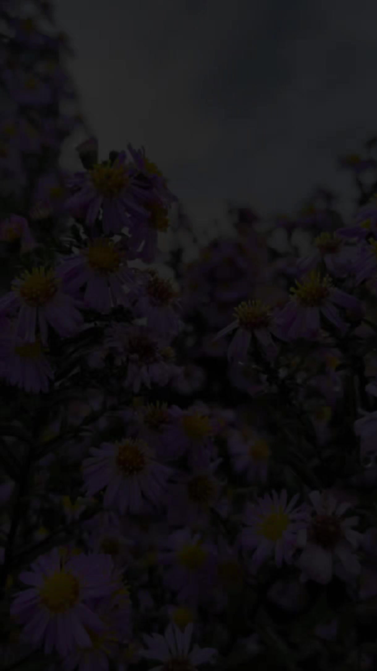 @Ƙɑɾɑ Տҽѵժɑʍ...