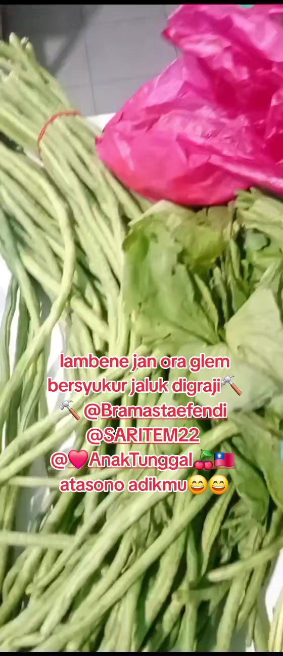 @🇸🇬jarkoni,,@###;'*🇲🇨👈💥👌