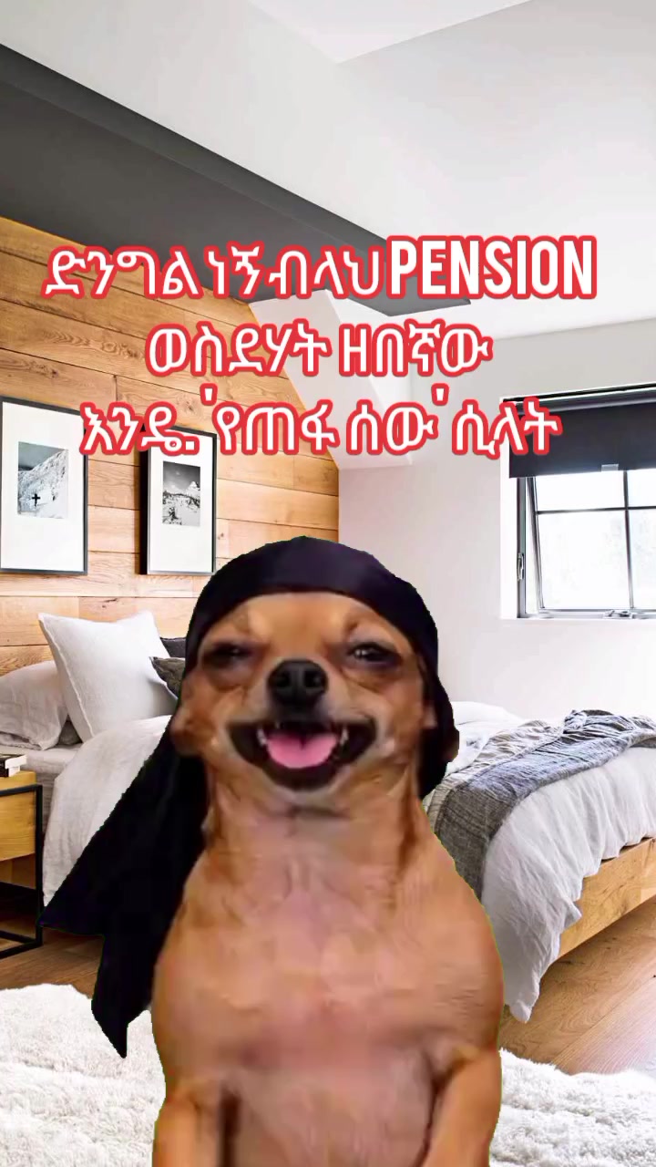 @ዳኒ / Dani