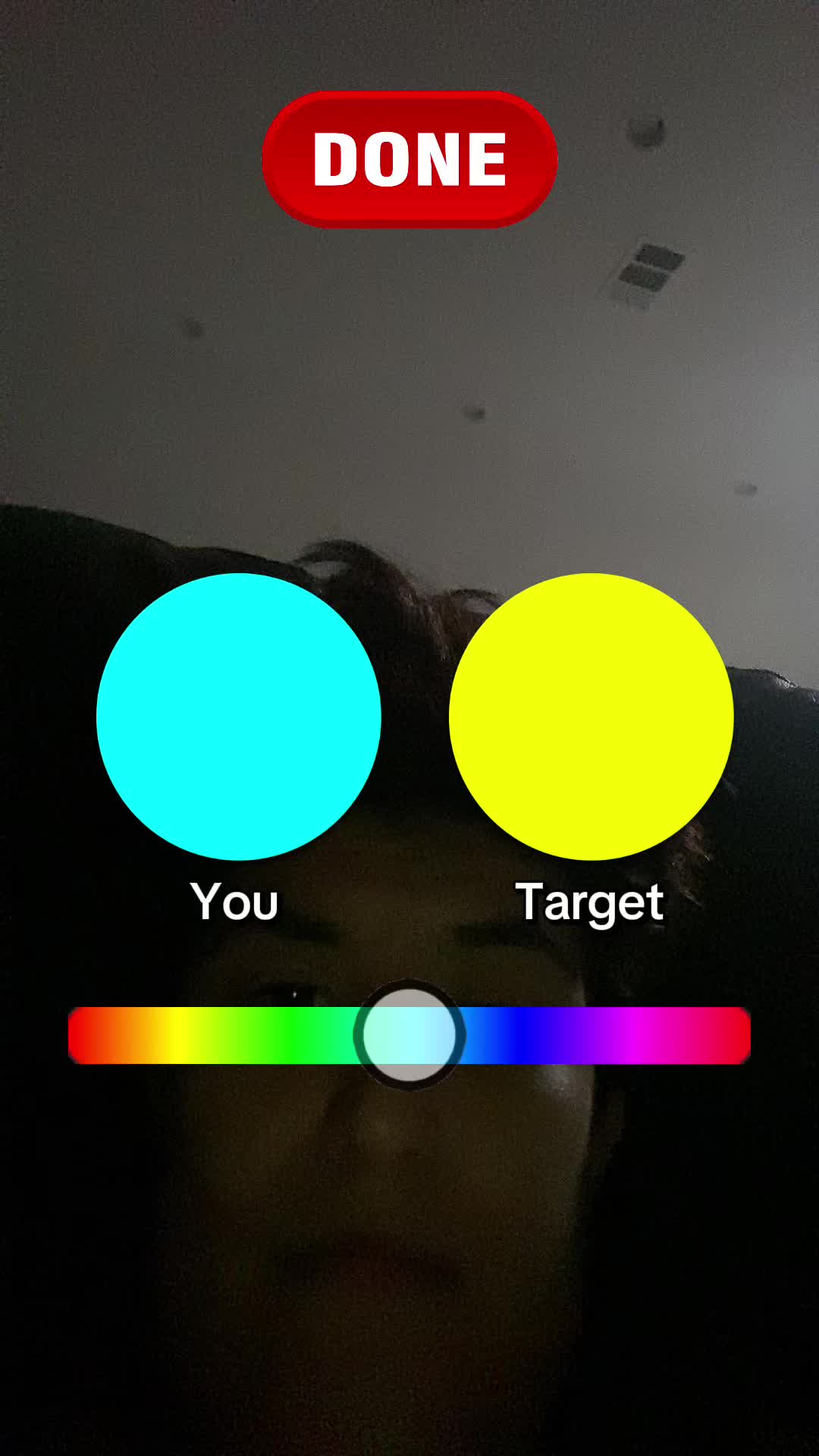 @theresaslaytersayian34