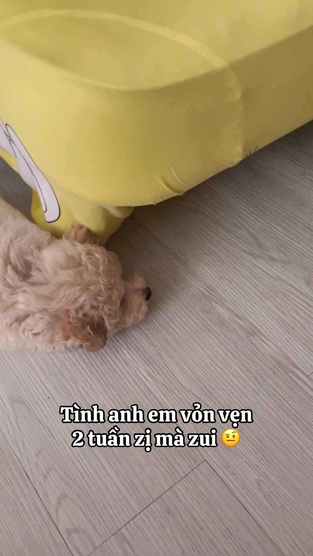 @Sam Xàm phiêu lưu ký