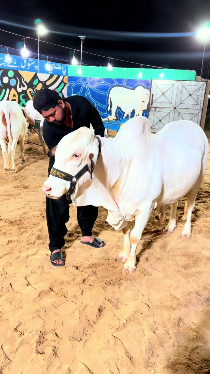 @Assam Raja Shaikh ⚔️