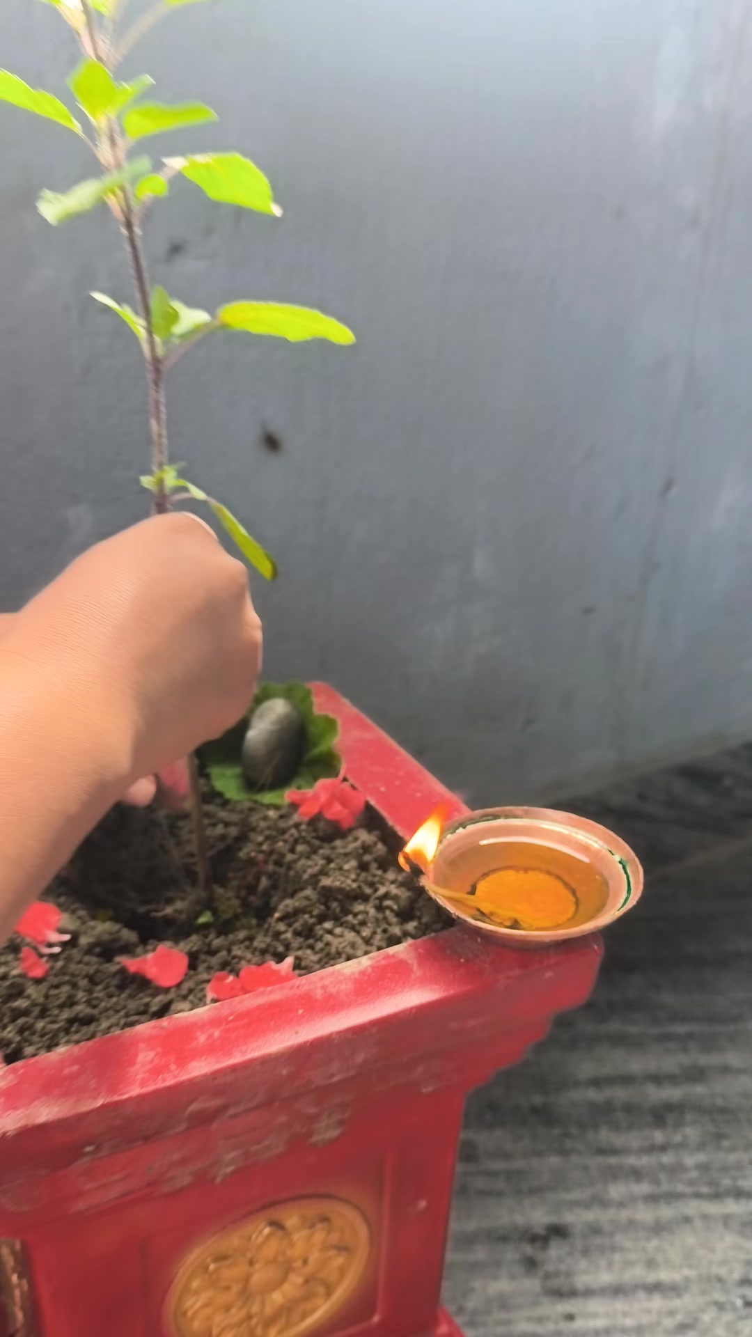 @बाहुनि 💞