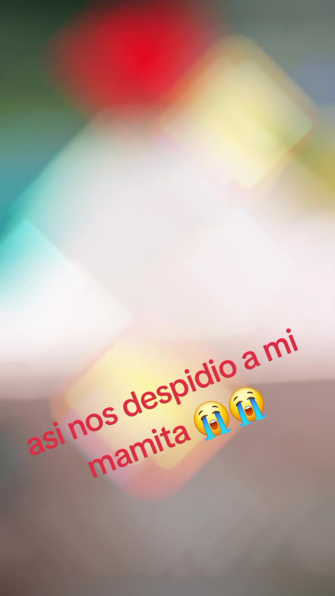 @🪴🌻la toxica🌻🌸