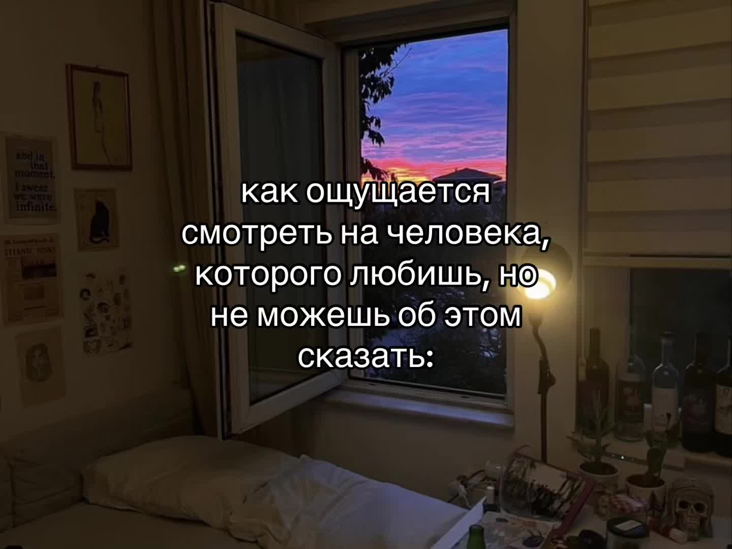 @猫🌸