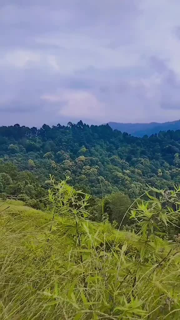 @☔🦚 Rusha Shrestha🦚☔
