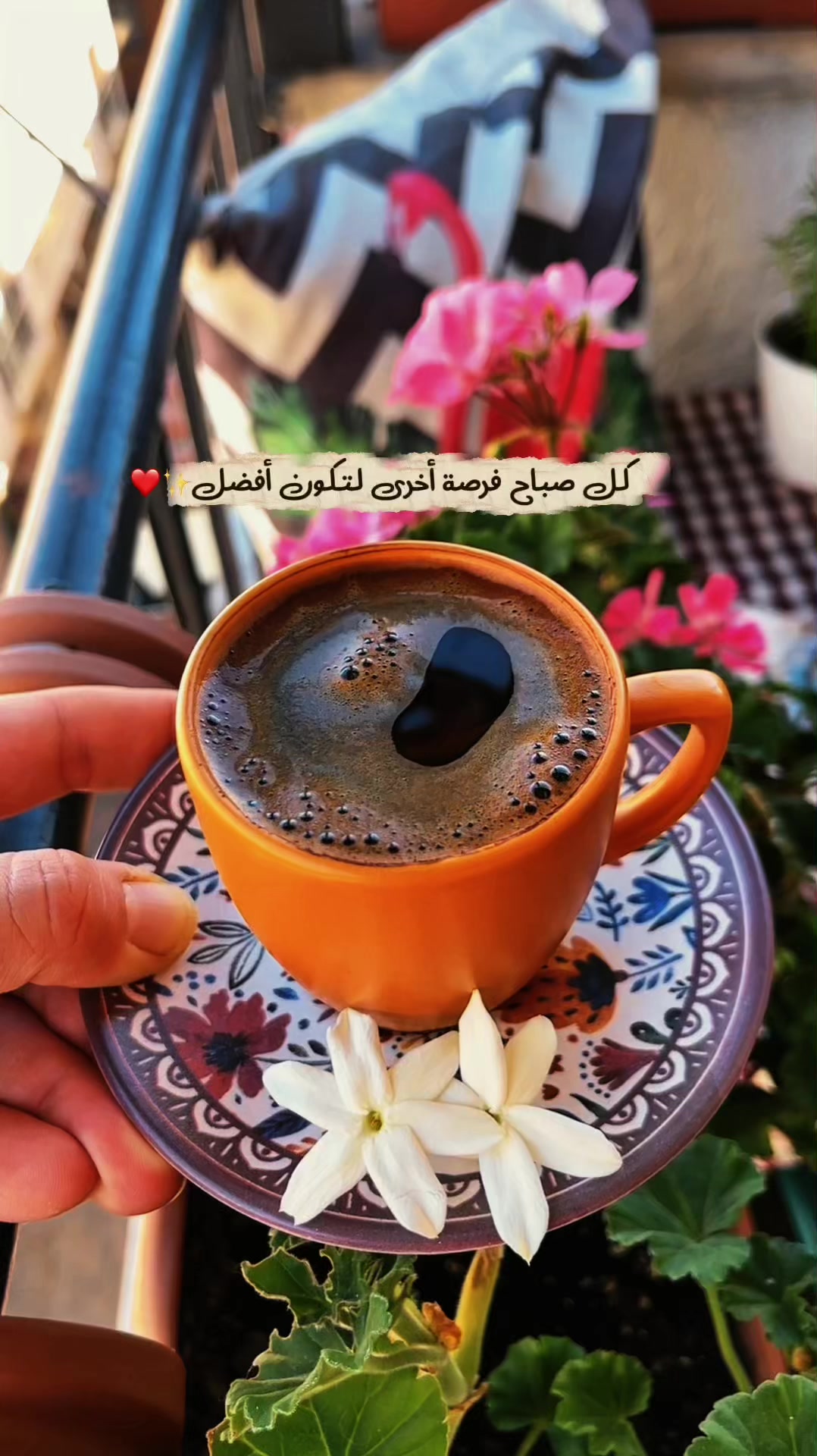 @✨𝒜𝒾𝓈𝒽𝒶🕊️